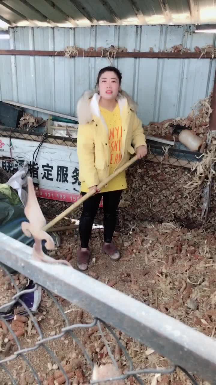 绥化雪姐123