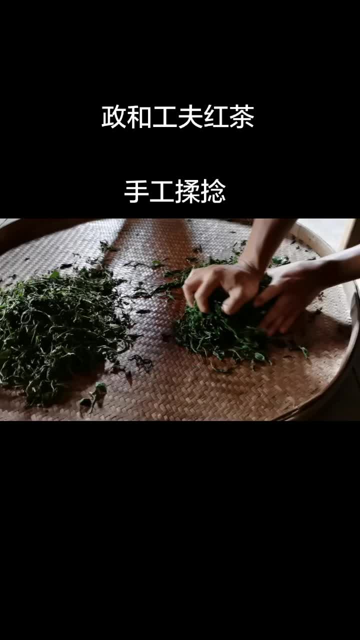 手工揉捻#政和工夫红茶#千年政和 百年工夫#茶生活 #制茶人