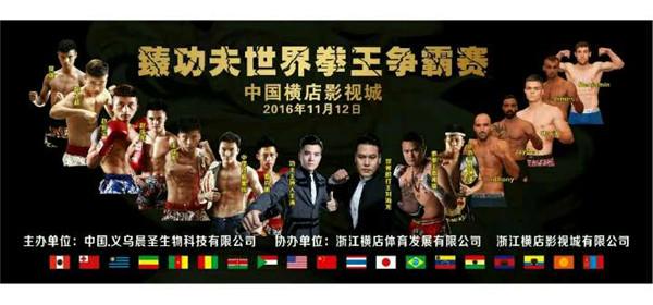 苏阳红红木家具