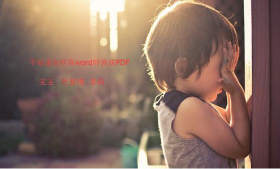 word批量转换工具