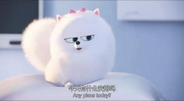 爱宠大机密英文版语录