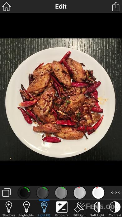 flash是位图处理软件?