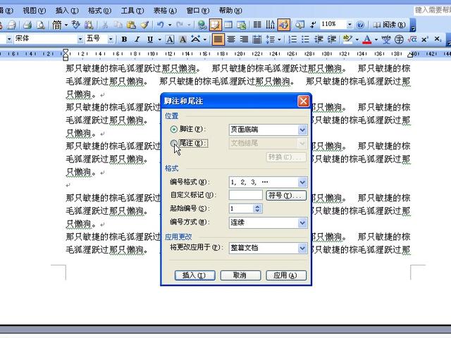 word脚注区 页码
