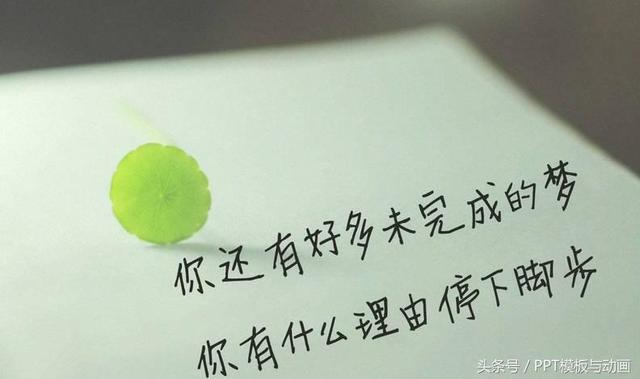 word 目次