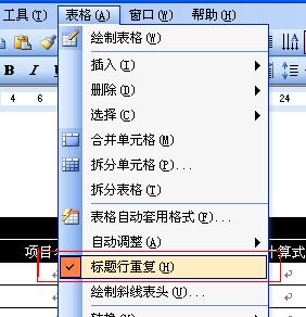 word打印第二页题目
