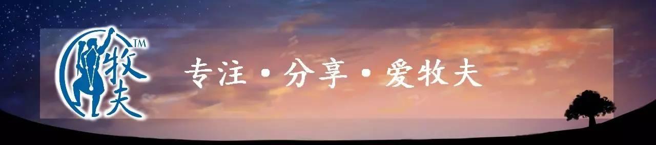 回历转化公历软件下载