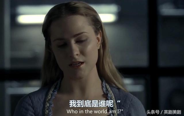 the c word指的是什么