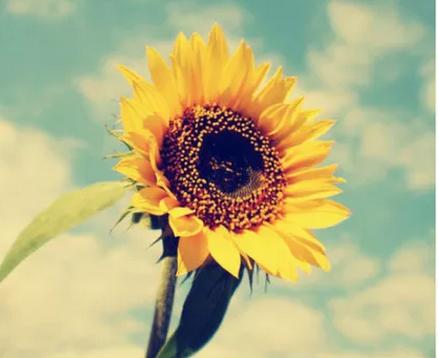 2016word怎样制作目录