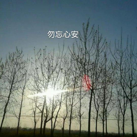 дʫ