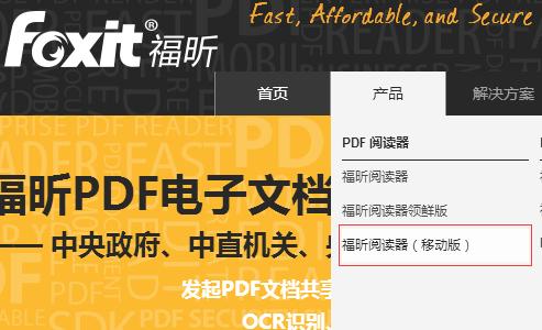 word2013无法打开pdf