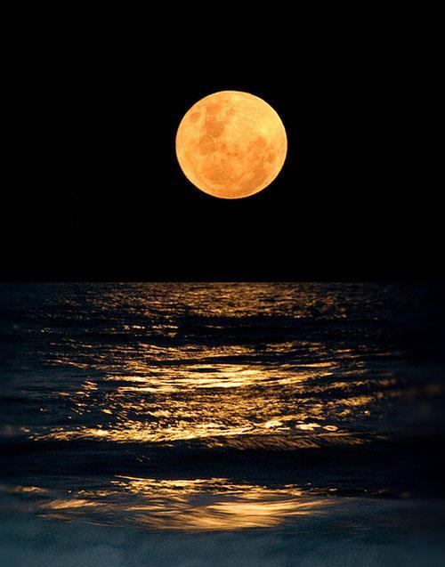 形容夜晚月亮美的古诗词