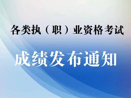 2017软件水平考试成绩