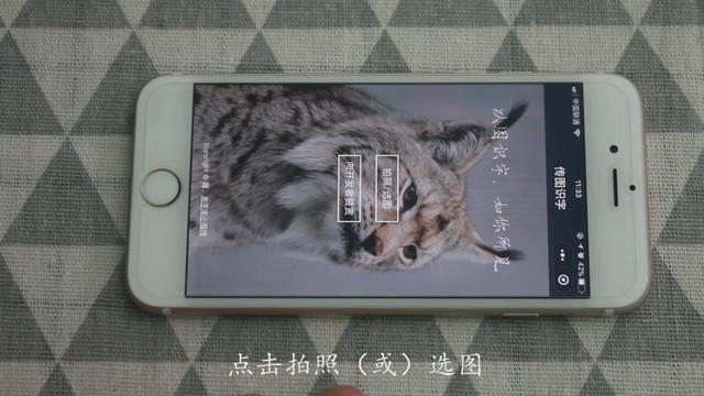 图片在线f转换成word