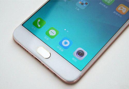 以文件夹格式打开软件