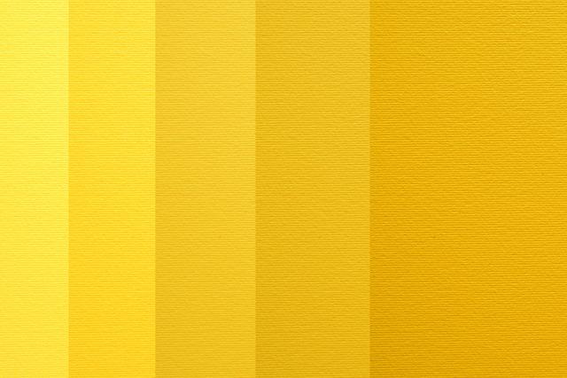 平面设计好还是软件开发好