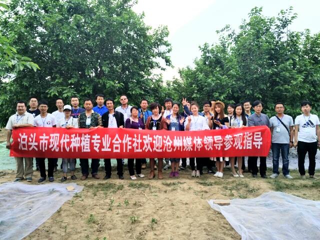 泊头聚拢家具城