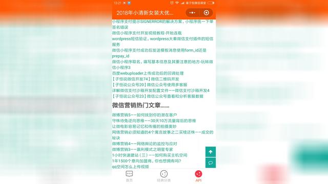 wordpress 插件 小程序