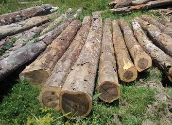 红铁木豆家具好吗