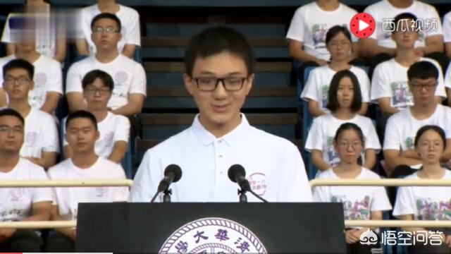 对软件项目的评价发言