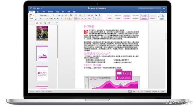 mac word 背景