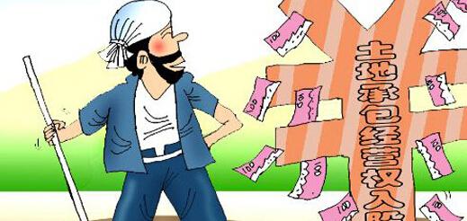 土地承包经营权苍穹软件多少钱