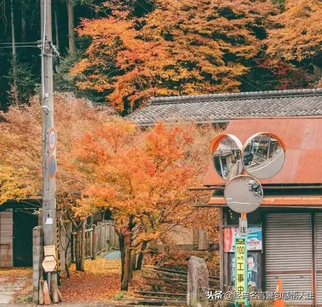 跟才艺有关的名言