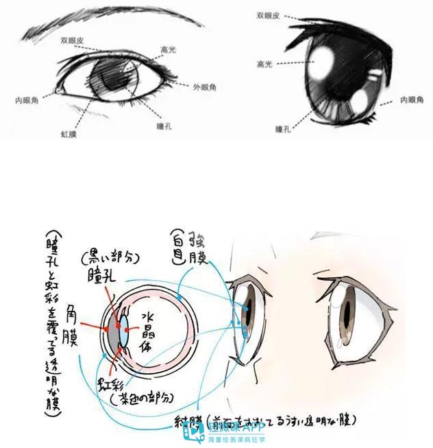 古风人物的眼睛怎么画?各种古风眼睛的绘画参考