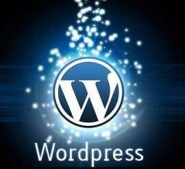 wordpress 相互关注