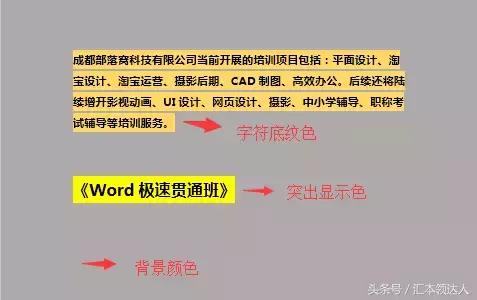 word文件汇总