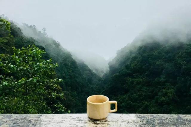 百度软件开发者中心在哪里设置