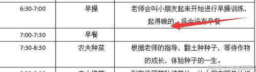 wps word中怎么插入视频