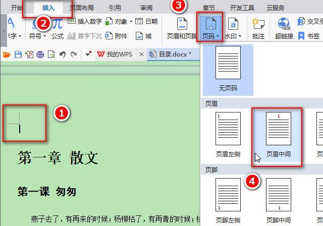 word2010 页码字体