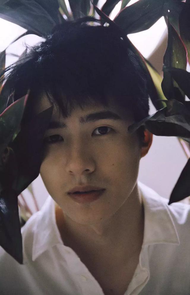 与知乎类似软件