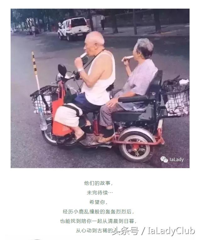 关于老夫妇互相搀扶的句子