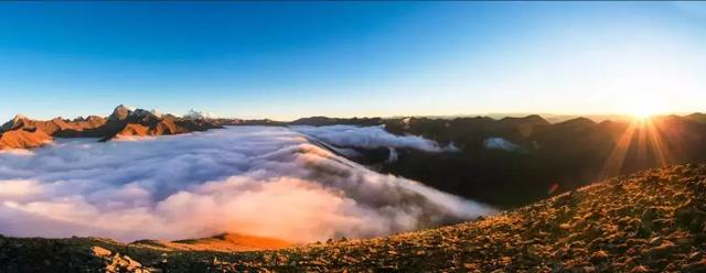 圣木雅家具价格