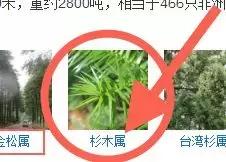 集成板 家具