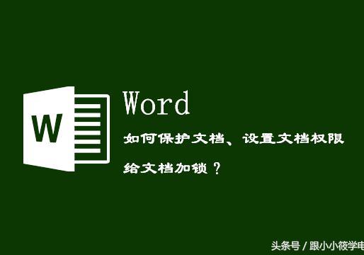 word安装权限