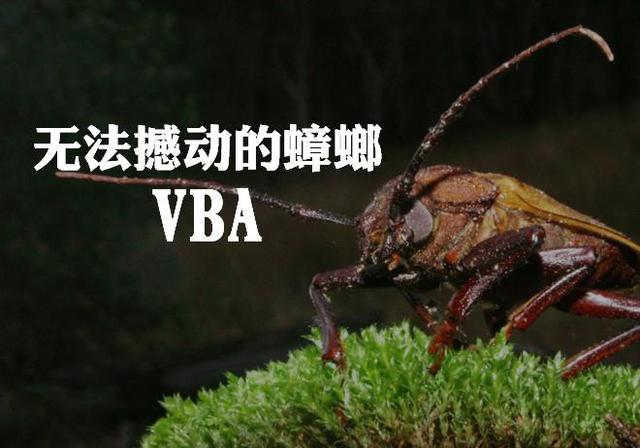 基于excelword的vba小程序