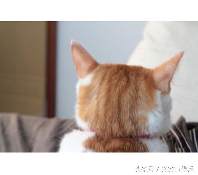 美好时光的英文句子