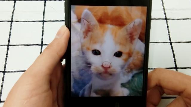 软件版本发布模板