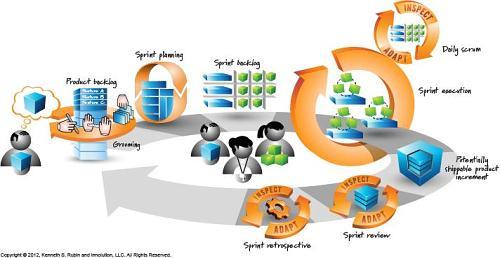 项目型软件公司管理