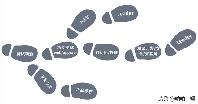 软件测试需要懂代码吗
