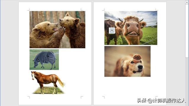 word插入图片技巧