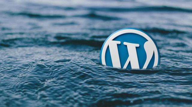 wordpress调用自定义字段