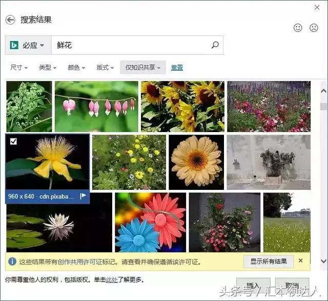 在2013抢鲜版word中如何插入域