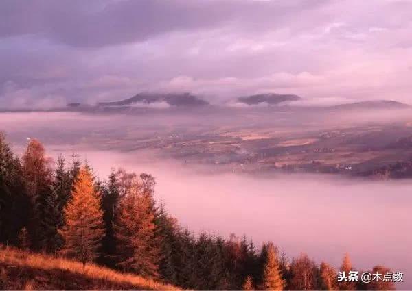 测试真心朋友的说说