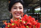 The Thailand ex-premier that loves a flower flower pull: The cloud thinks clothes flower misses an a