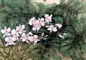 ڡףԸڹһжáʫЩ