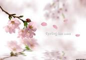 ڡһꡱľʫЩ