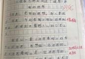 初二作文，我理想中的学校900字！